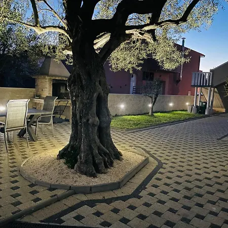 Design Dijan Appartamento *